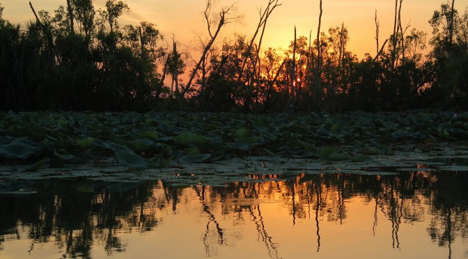 Couchers de soleil tropical