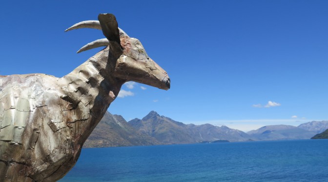 La méditation du chamois sur le lac Wakatipu