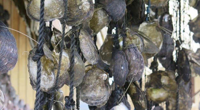 Aller à la peche et chercher des perles